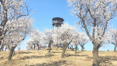 Darja vytahuje jaro ze slunečna a  luftu
