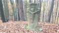 /album/fotogalerie-luhacovice-6-11-11-20221/a4-jpg1/