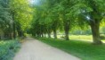 /album/fotogalerie-podebrady-9-14-7/20230709-151450-jpg/